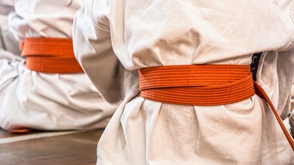 Karate hírek