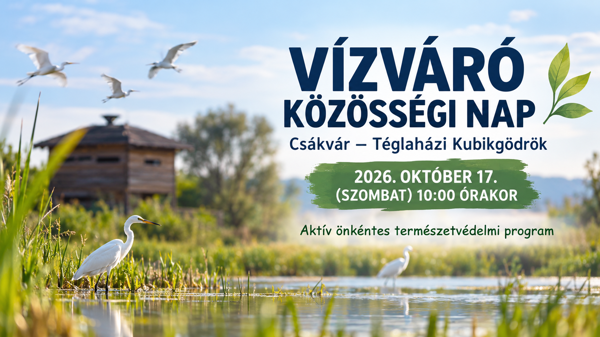 Önkénteseket várnak a Vízváró közösségi napra